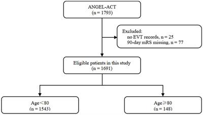 Current status of endovascular treatment for older adults with acute large vessel occlusion stroke in China: subgroup analysis of ANGEL act registry